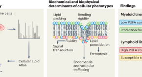 what is biochemical research