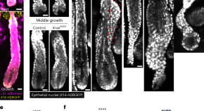 cancer research latest findings