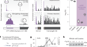 research articles ncbi