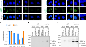 research articles ncbi