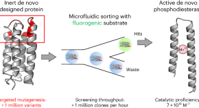 biochemistry research paper ideas