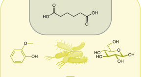 research topics on biotechnology