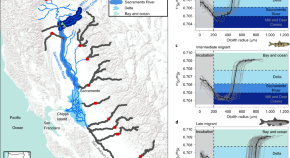 effects of global warming research paper