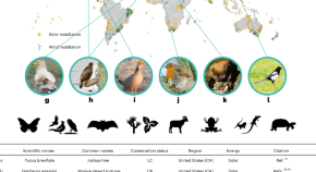 global warming research paper example