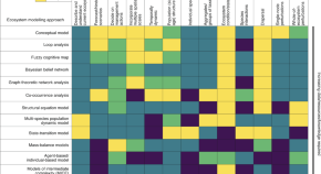 literature review evolutionary biology