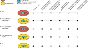 literature review evolutionary biology