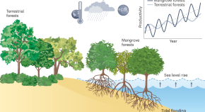 new ecology research topics