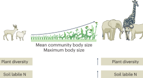 presentation topics about ecology