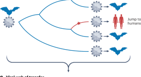 phylogenetic analysis research journal