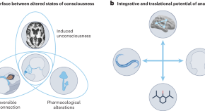 behavioral neuroscience new research