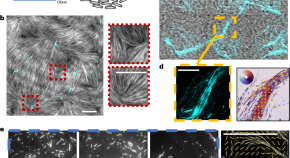 Materials  December-2 2022 - Browse Articles