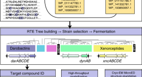 Articles in 2022 | Nature Microbiology