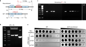 microbiology research articles 2022