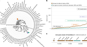 microbiology research articles 2022