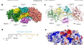 microbiology research articles 2022