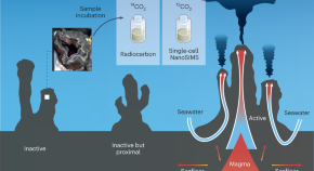 science new research project