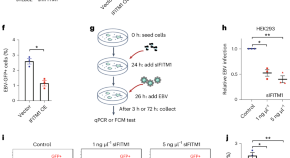 research in microbiology journal