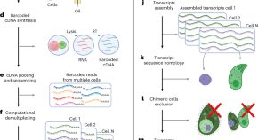 research in microbiology journal