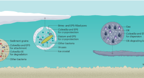 environmental topics to research about