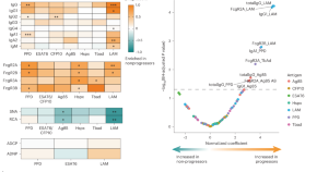 tuberculosis research paper example