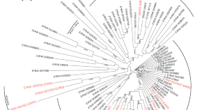 research in microbiology journal