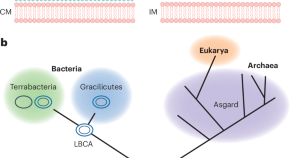 research papers on microbiology