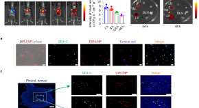 research topics for nanotechnology