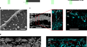 research topics for nanotechnology