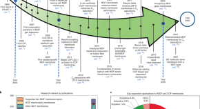 literature review on nanotechnology literature review on nanotechnology