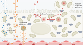 current research paper in nanotechnology current research paper in nanotechnology