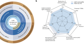 literature review on nanotechnology literature review on nanotechnology