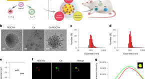 nanotechnology research articles