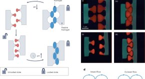 literature review on nanotechnology literature review on nanotechnology