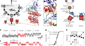 nanotechnology research articles