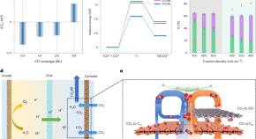 nanotechnology research articles