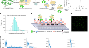 nanotechnology research articles