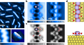 nanotechnology research articles