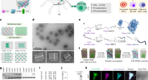 research paper on nanoparticles