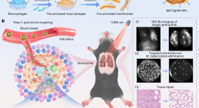 research paper on nanoparticles