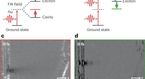 News & Views in 2025 | Nature Nanotechnology