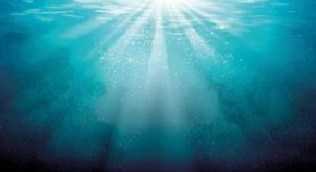 antigen presentation antigen presentation