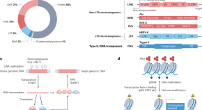 cancer research article types