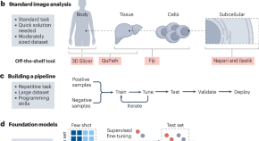 cancer research article types