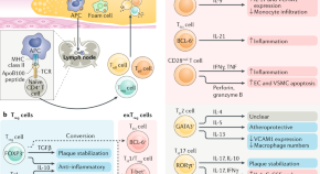 immunology related research paper