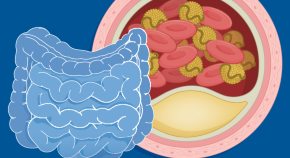 research papers on nutrition and health research papers on nutrition and health