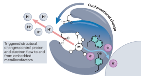 research papers of inorganic chemistry