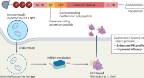 essay about biology and chemistry essay about biology and chemistry