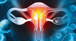 essay on endometrial cancer