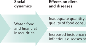 quantitative research questions about malnutrition