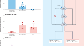 endocrinology new research topics